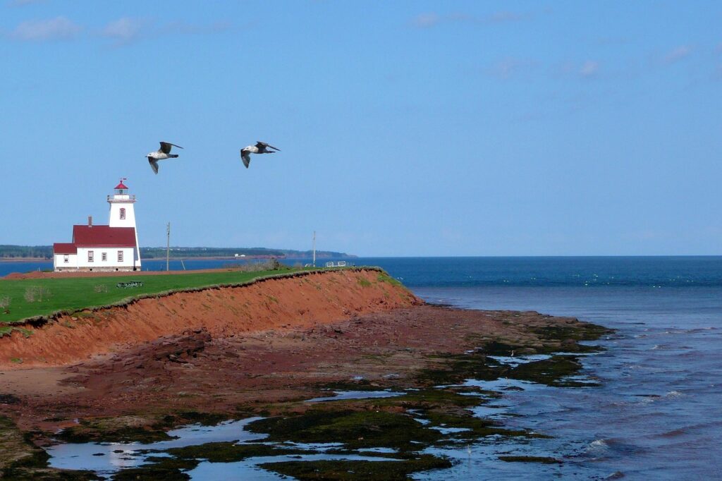 prince edward island, canada, lighthouse, red shoreline, nature, water, landscape, scenery, blue island