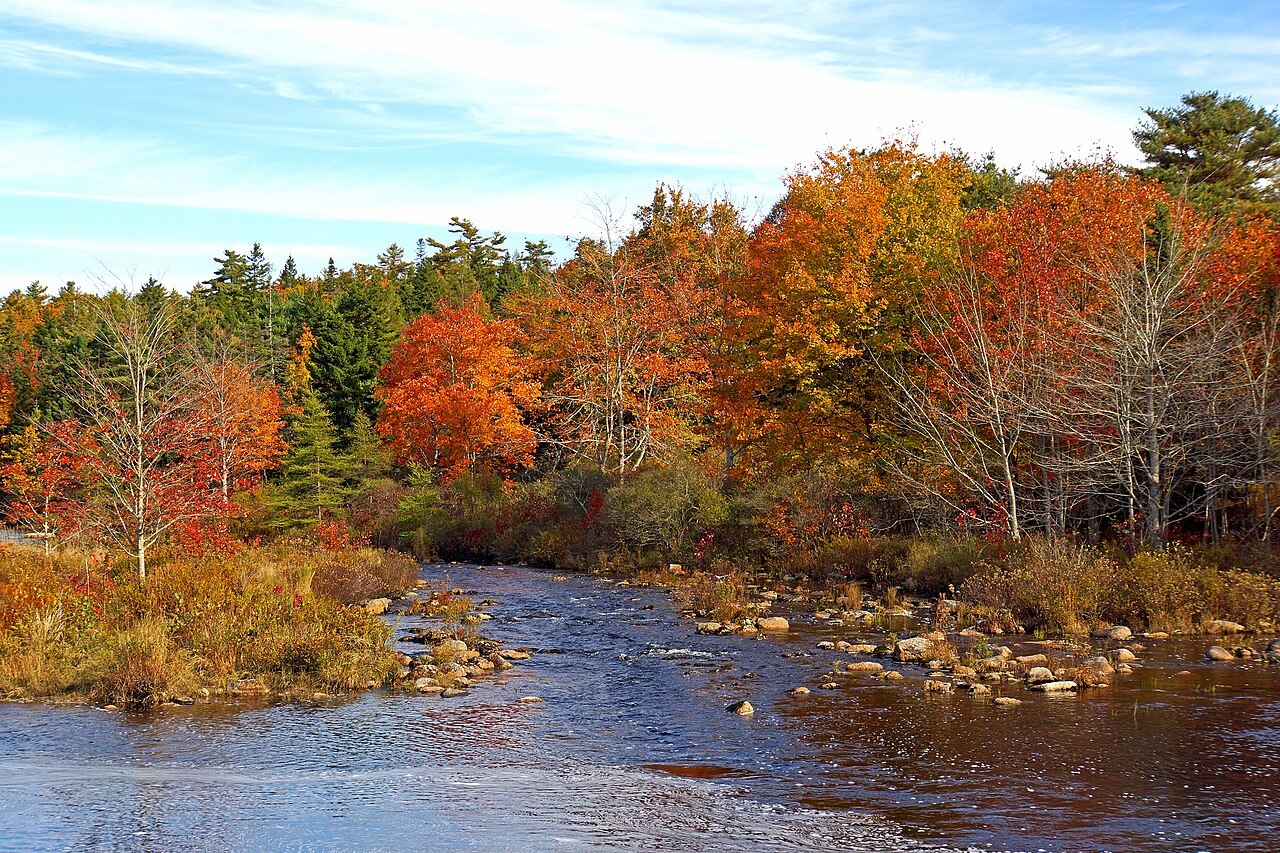The Mill Pond in Timberlea, Nova Scotia